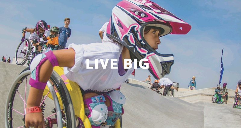 Click me!
Life Rolls On 2018