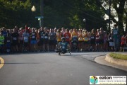 Race #1046, Row 2, Column 5