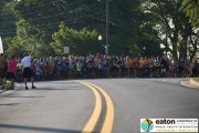 Race #1046, Row 2, Column 6