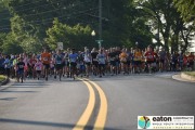 Race #1046, Row 3, Column 5