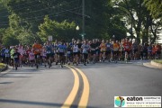 Race #1046, Row 3, Column 6