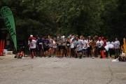 Race #1232, Row 2, Column 4