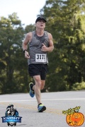 Race #1240, Row 39, Column 3