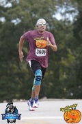 Race #1240, Row 53, Column 1