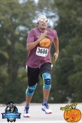 Race #1240, Row 53, Column 2