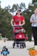 Race #1240, Row 56, Column 4