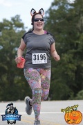Race #1240, Row 62, Column 2