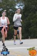 Race #1240, Row 67, Column 1