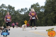 Race #1240, Row 70, Column 1