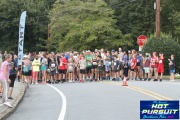 Race #1376, Row 6, Column 5