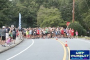 Race #1376, Row 7, Column 3