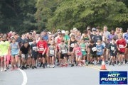 Race #1376, Row 8, Column 2