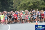 Race #1376, Row 8, Column 3