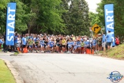 Race #1406, Row 16, Column 5