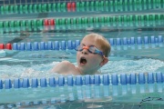 Race #1447, Row 206, Column 2