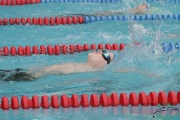 Race #1447, Row 239, Column 5