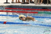 Race #1447, Row 224, Column 3