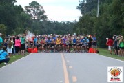 Race #663, Row 1, Column 5